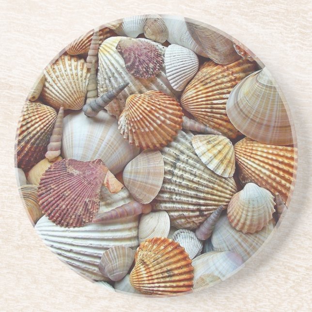 Sea Shells Coaster (Front)