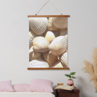 Sea Shells Collection Beach Life Photography