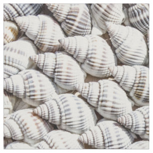 sea shells fabric