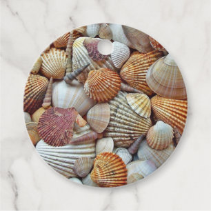 Sea Shells Favour Tags