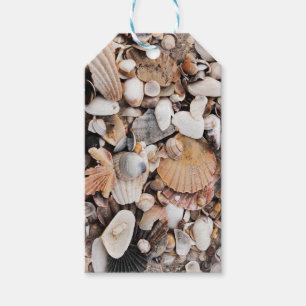 Sea shells gift tag