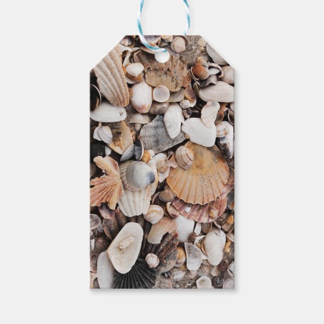 Sea shells gift tag (Front)