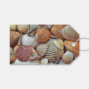 Sea Shells Gift Tags
