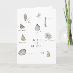 Sea Shells Greeting Card