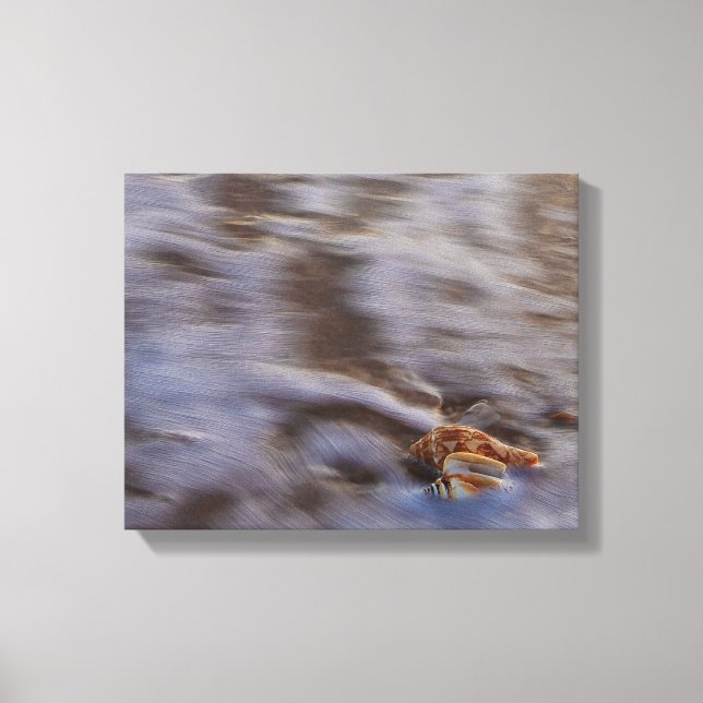 Sea Shells in Surf Stretched Canvas Print (Front)