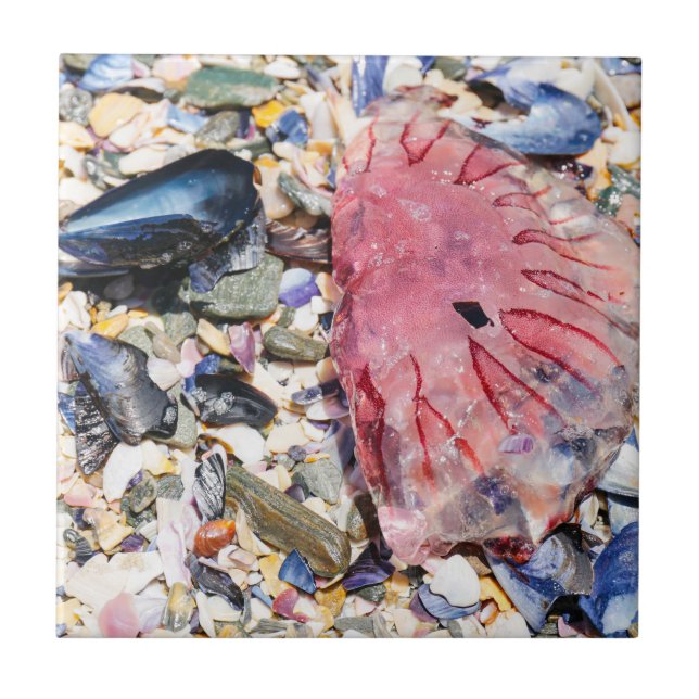 Sea Shells Jellyfish Ocean Beach View Tile (Front)