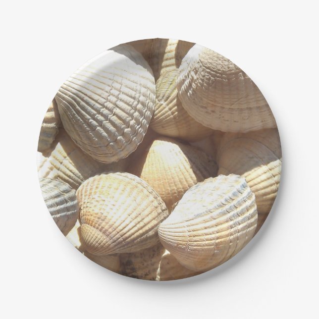 Sea Shells Love, Summer Beach Picnic, Paper Plate (Front)