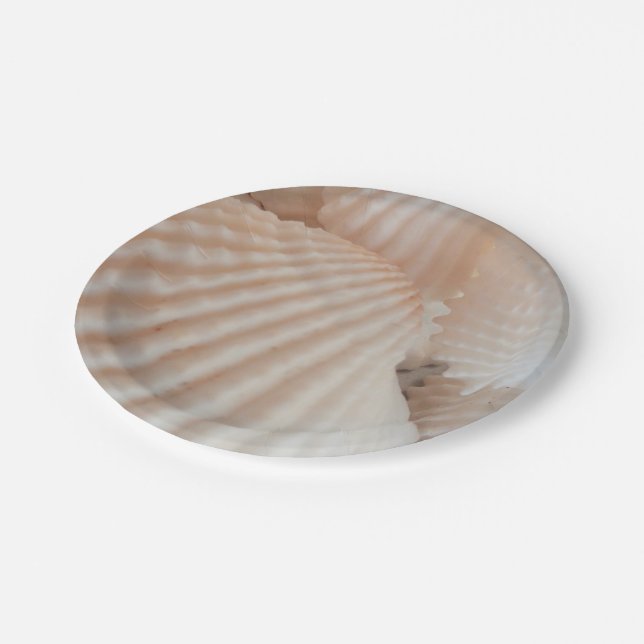 Sea Shells Love, Summer Beach Picnic, Paper Plate (Angled)