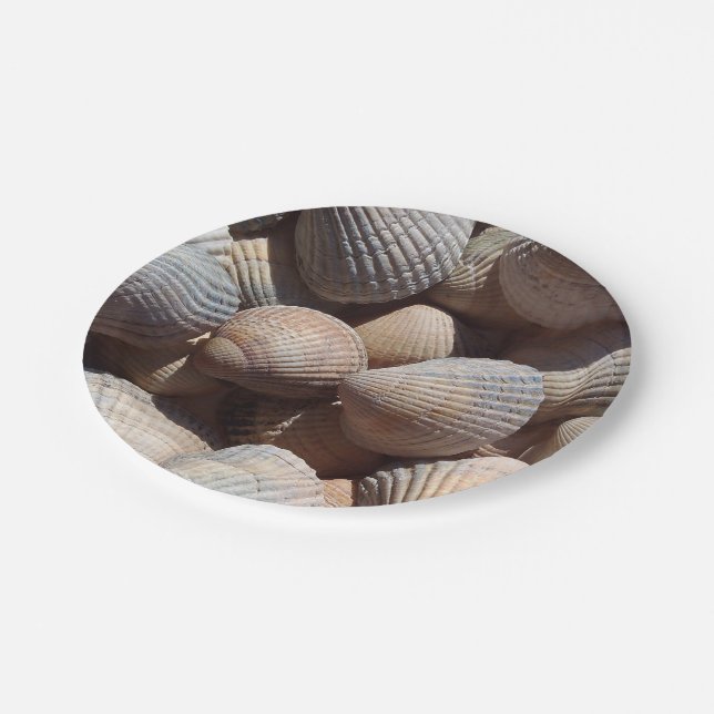 Sea Shells Love, Summer Beach Picnic, Paper Plate (Angled)