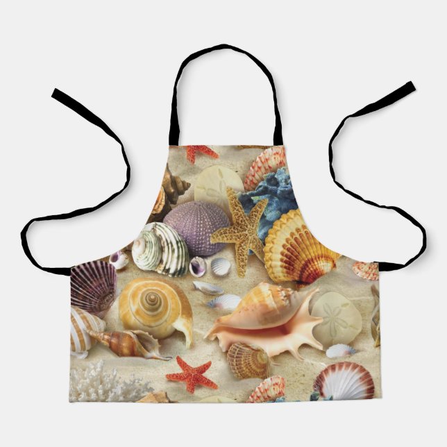 Sea shells on beach apron (Front)