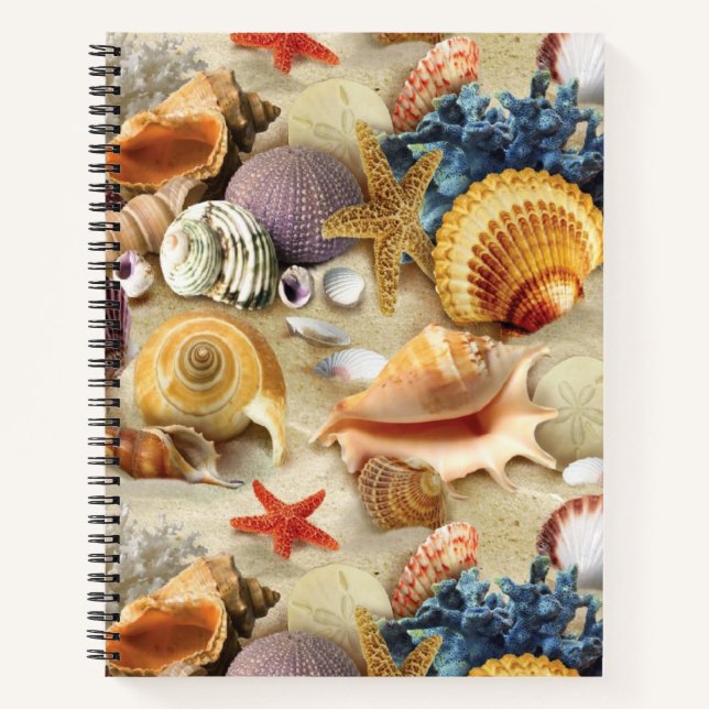 Sea shells on beach notebook (Front)