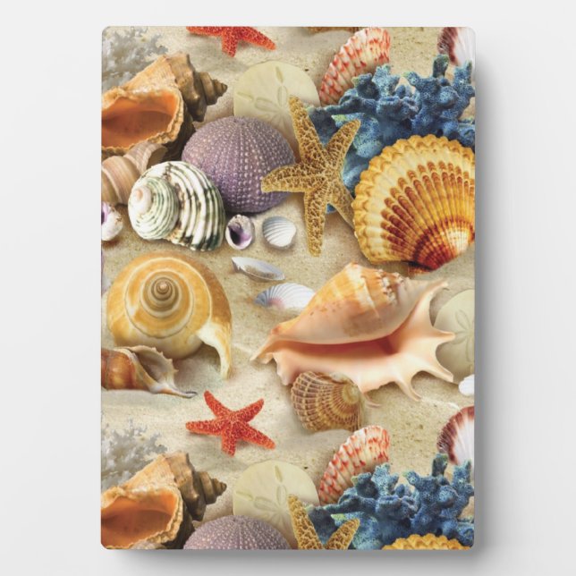 Sea shells on beach plaque (Front)