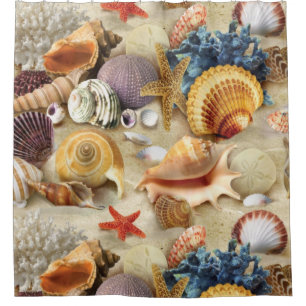 Sea shells on beach shower curtain