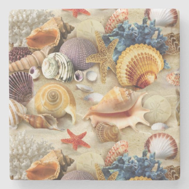 Sea shells on beach stone coaster (Front)