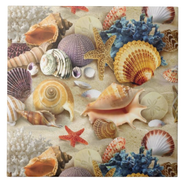 Sea shells on beach tile (Front)