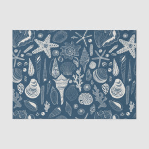 Sea shells on  dark blue tissue paper