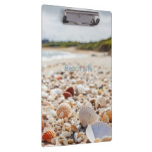 Sea Shells on the Beach