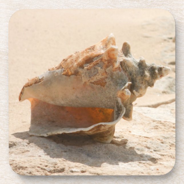 Sea Shells On The Beach Coaster (Front)