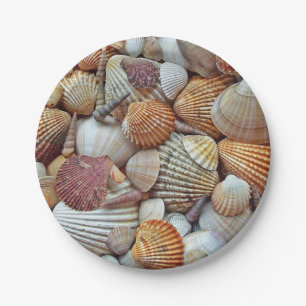 Sea Shells Paper Plate