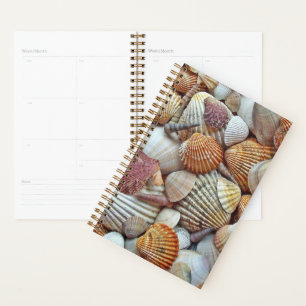 Sea Shells Planner