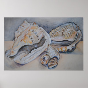 Sea Shells Print