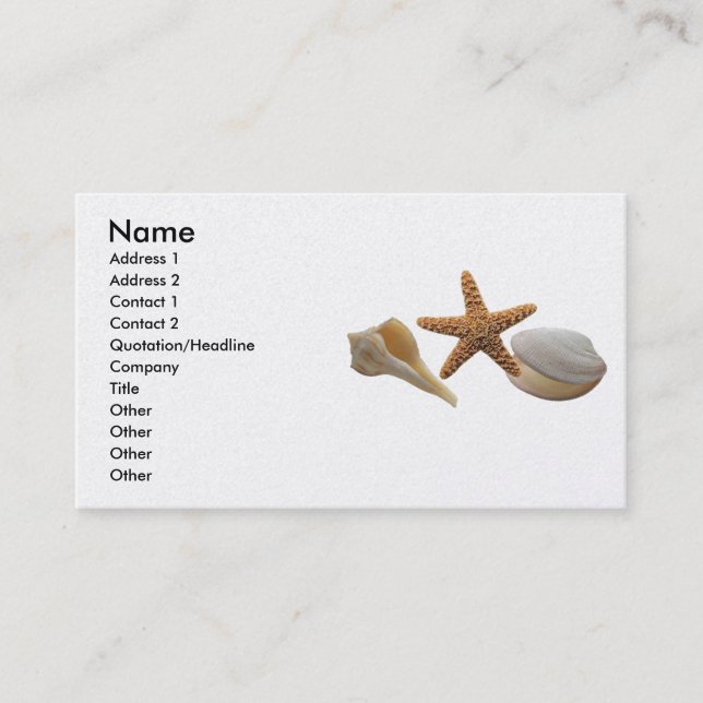 Sea Shells Profile Card (Front)