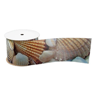 Sea Shells Satin Ribbon