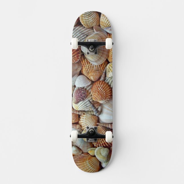 Sea Shells Skateboard (Front)