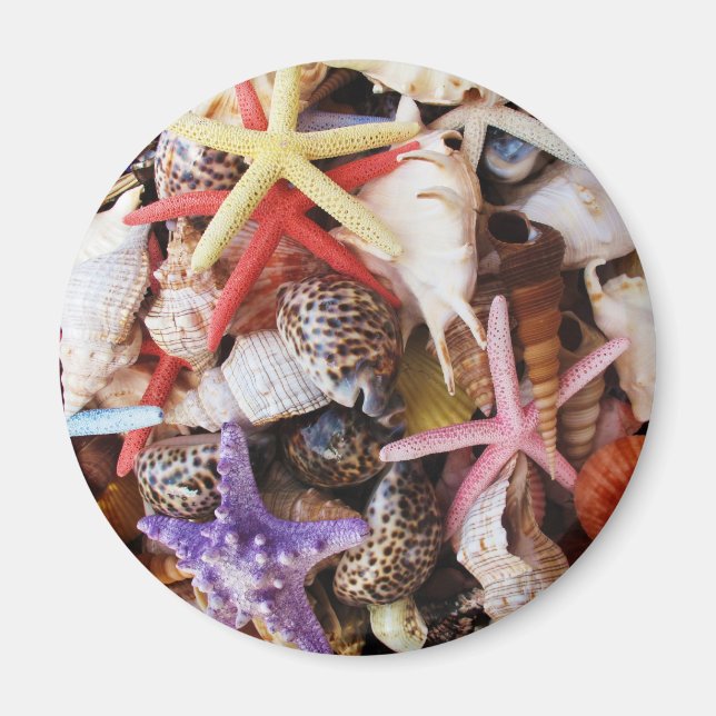 Sea Shells Starfish Colourful Shell Magnet (Front)
