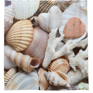 Sea Shells Stones Coral Background Shower Curtain