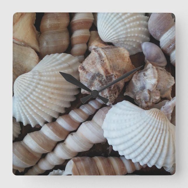 Sea Shells, Summer Beach Exotic Tropical Clock (Front)