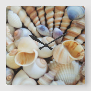 Sea Shells, Summer Beach Exotic Tropical Clock
