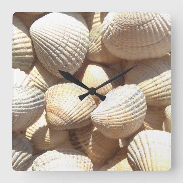 Sea Shells, Summer Beach Exotic Tropical Clock (Front)
