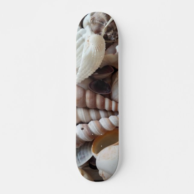 Sea Shells Summer Beach Exotic Tropical Skateboard (Front)