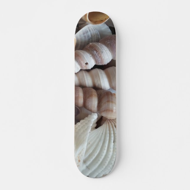 Sea Shells Summer Beach Exotic Tropical Skateboard (Front)
