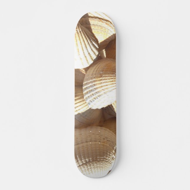 Sea Shells Summer Beach Exotic Tropical Skateboard (Front)