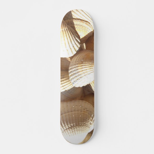 Sea Shells Summer Beach Exotic Tropical Skateboard (Front)