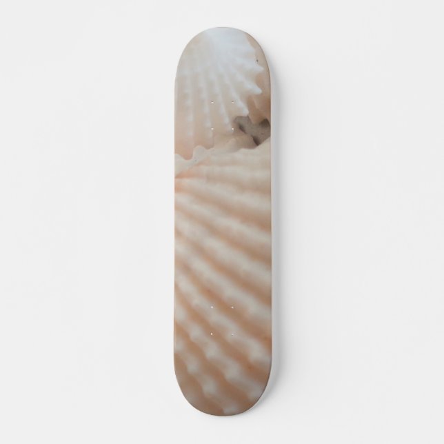 Sea Shells Summer Beach Exotic Tropical Skateboard (Front)