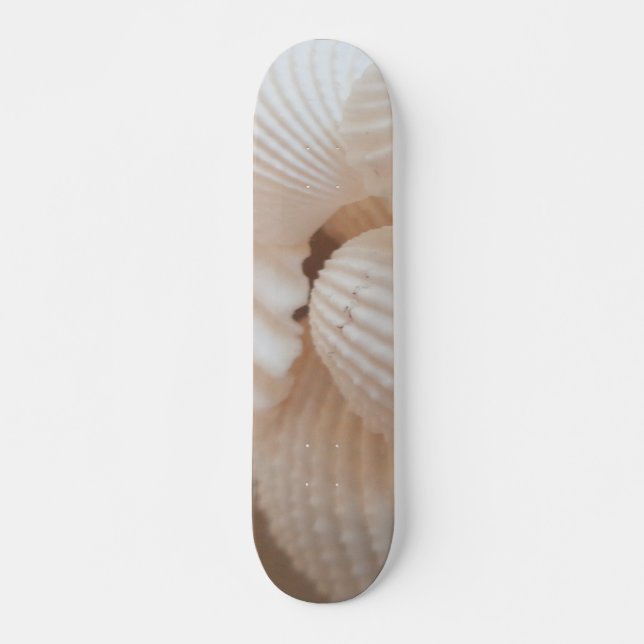 Sea Shells Summer Beach Exotic Tropical Skateboard (Front)