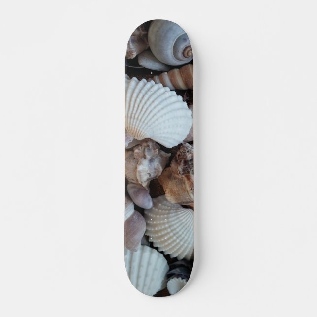 Sea Shells Summer Beach Exotic Tropical Skateboard (Front)