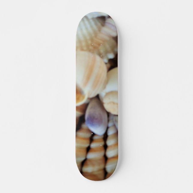 Sea Shells Summer Beach Exotic Tropical Skateboard (Front)