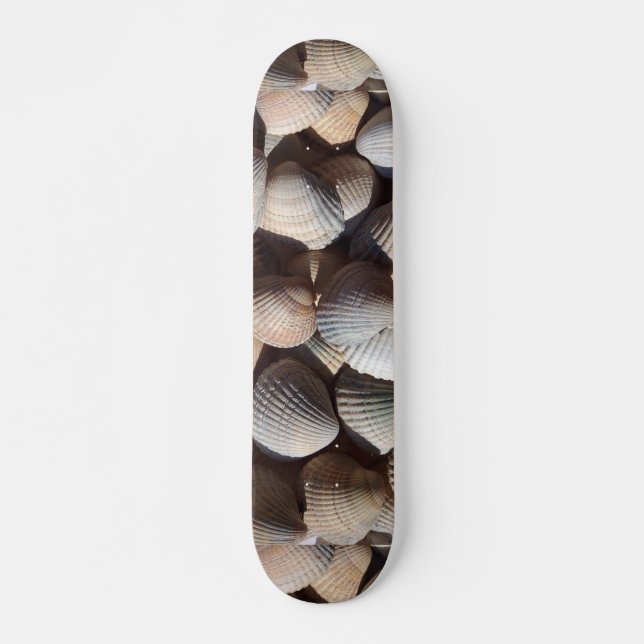 Sea Shells Summer Beach Exotic Tropical Skateboard (Front)