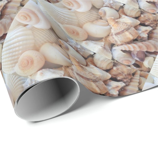 Sea Shells, Summer Exotic Tropical Photography Wrapping Paper (Roll Corner)