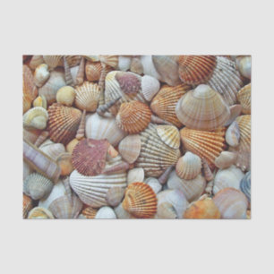 Sea Shells Tissue Paper