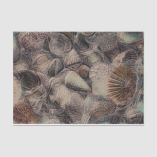 Sea Shells Vintage Metallic Ocean Beach Decoupage Tissue Paper