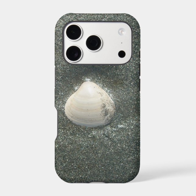 Sea shore shells Hakuna Matata.JPG (Back)