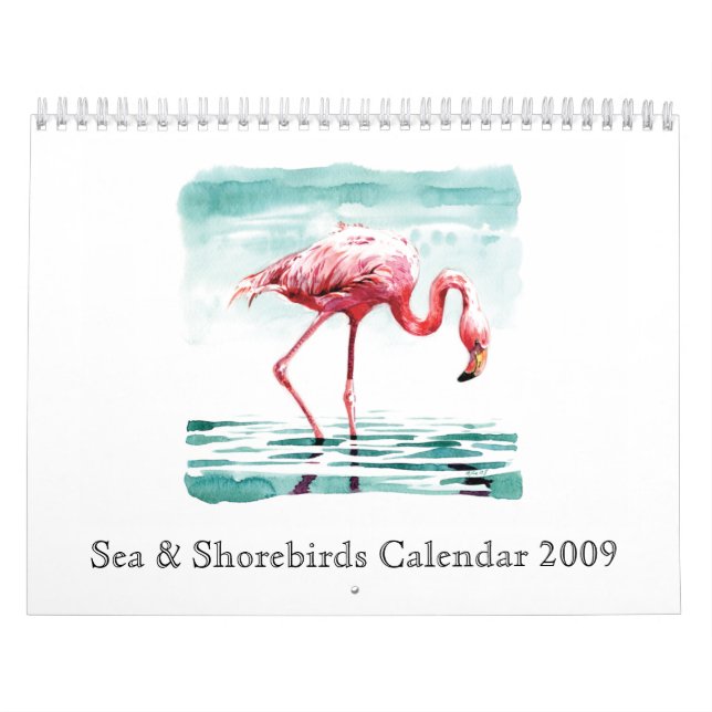 Sea & Shorebirds Calendar 2009 (Cover)