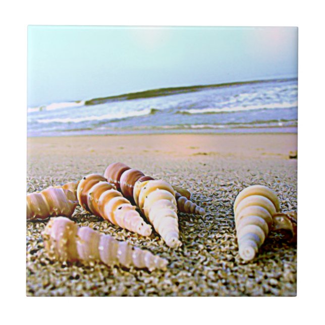 Sea Side Shells tile (Front)