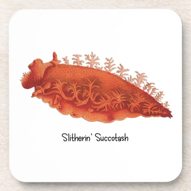 Sea Slug Slitherin' Succotash (6) Plastic Coaster (Front)