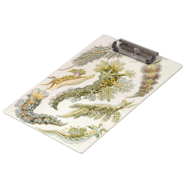 Sea Slugs by Ernst Haeckel, Vintage Nudibranchia Clipboard (Angled)